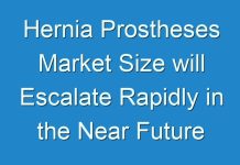 Hernia Prostheses Market Size will Escalate Rapidly in the Near Future