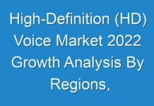 High-Definition (HD) Voice Market 2024 Growth Analysis By Regions, Type And Application, Forecast Analysis