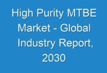 High Purity MTBE Market – Global Industry Report, 2030