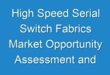 High Speed Serial Switch Fabrics Market Opportunity Assessment and Forecast up to 2025