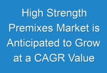 High Strength Premixes Market is Anticipated to Grow at a CAGR Value of 4% During Forecast Period 2019 to 2029
