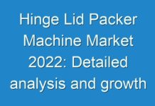 Hinge Lid Packer Machine Market 2024: Detailed analysis and growth trends post COVID-19 outbreak
