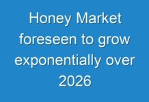 Honey Market foreseen to grow exponentially over 2026