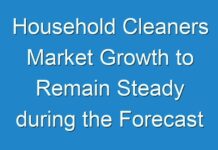 Household Cleaners Market Growth to Remain Steady during the Forecast Period 2024