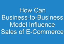 How Can Business-to-Business Model Influence Sales of E-Commerce Software and Platform Worldwide?