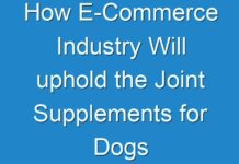 How E-Commerce Industry Will uphold the Joint Supplements for Dogs Sales? | Present and Future Analysis till 2031