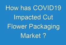How has COVID19 Impacted Cut Flower Packaging Market ?