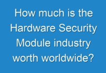How much is the Hardware Security Module industry worth worldwide?