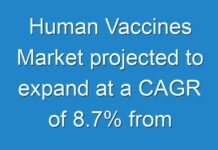 Human Vaccines Market projected to expand at a CAGR of 8.7% from 2019 to 2027