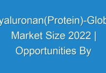 Hyaluronan(Protein)-Global Market Size 2024 | Opportunities By Industry Share, Statistics, Covid-19 Impact Analysis, Global Trends Evaluation, Geographical Segmentation, Business Challenges and Investment Opportunities till 2030