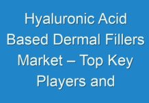Hyaluronic Acid Based Dermal Fillers Market – Top Key Players and Industry Outlook