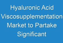 Hyaluronic Acid Viscosupplementation Market to Partake Significant Development During 2024 – 2030