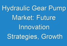 Hydraulic Gear Pump Market: Future Innovation Strategies, Growth & Profit Analysis, Forecast by 2028