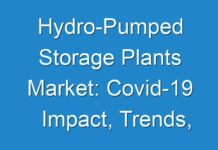 Hydro-Pumped Storage Plants Market: Covid-19 Impact, Trends, Opportunities and Global Industry Analysis