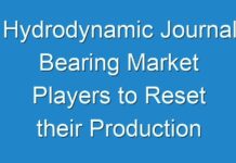 Hydrodynamic Journal Bearing Market Players to Reset their Production Strategies Post 2024 in an Effort to Compensate for Heavy Loss Incurred Due to COVID-19 Outbreak