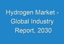 Hydrogen Market – Global Industry Report, 2030