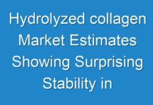 Hydrolyzed collagen Market Estimates Showing Surprising Stability in key Business Segments
