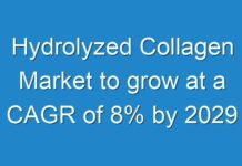 Hydrolyzed Collagen Market to grow at a CAGR of 8% by 2029
