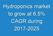 Hydroponics market to grow at 6.5% CAGR during 2017-2025