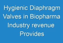 Hygienic Diaphragm Valves in Biopharma Industry revenue Provides Veritable Information On Size, Growth Trends And Competitive Outlook 2030