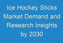 Ice Hockey Sticks Market Demand and Research Insights by 2030