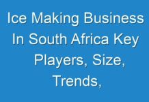 Ice Making Business In South Africa Key Players, Size, Trends, Opportunities and growth Analysis
