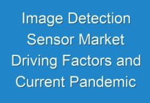 Image Detection Sensor Market Driving Factors and Current Pandemic Challenges Analysis 2024 – 2030- TMR