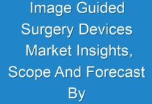 Image Guided Surgery Devices Market Insights, Scope And Forecast By 2025