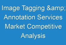 Image Tagging & Annotation Services Market Competitive Analysis with Growth Forecast Till 2030