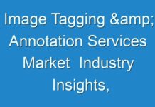 Image Tagging & Annotation Services Market Industry Insights, Outlook and Forecast upto 2030