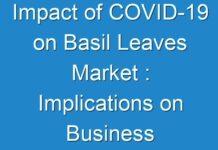 Impact of COVID-19 on Basil Leaves Market : Implications on Business