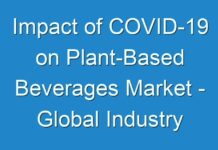 Impact of COVID-19 on Plant-Based Beverages Market – Global Industry Analysis 2026