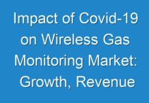 Impact of Covid-19 on Wireless Gas Monitoring Market: Growth, Revenue and Global Industry Trends