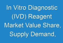 In Vitro Diagnostic (IVD) Reagent Market Value Share, Supply Demand, Share and Value Chain 2029