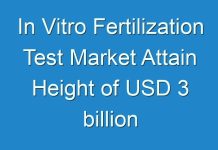 In Vitro Fertilization Test Market Attain Height of USD 3 billion Worldwide