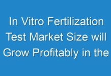 In Vitro Fertilization Test Market Size will Grow Profitably in the Near Future
