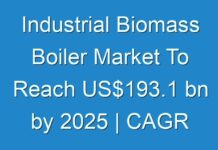 Industrial Biomass Boiler Market To Reach US$193.1 bn by 2025 | CAGR 11.1%