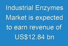 Industrial Enzymes Market is expected to earn revenue of US$12.84 bn by 2025