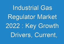 Industrial Gas Regulator Market 2024 : Key Growth Drivers, Current, Upcoming Industry Trends Key Players Analysis