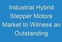 Industrial Hybrid Stepper Motors Market to Witness an Outstanding Growth during 2024 – 2031