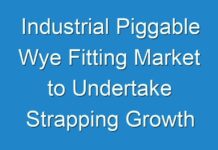 Industrial Piggable Wye Fitting Market to Undertake Strapping Growth During 2030