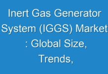 Inert Gas Generator System (IGGS) Market : Global Size, Trends, Competitive, Historical & Forecast Analysis, 2024-2027