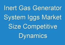Inert Gas Generator System Iggs Market Size Competitive Dynamics & Global Outlook 2027 With COVID -19 Impact