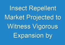 Insect Repellent Market Projected to Witness Vigorous Expansion by 2031