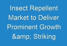 Insect Repellent Market to Deliver Prominent Growth & Striking Opportunities Scenario Highlighting Major Drivers & Trends 2024-2026