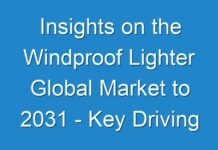 Insights on the Windproof Lighter Global Market to 2031 – Key Driving Factors and Challenges