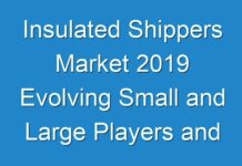 Insulated Shippers Market 2019 Evolving Small and Large Players and Forecast 2026