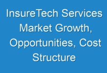 InsureTech Services Market Growth, Opportunities, Cost Structure Analysis and Forecast Upto 2027