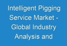 Intelligent Pigging Service Market – Global Industry Analysis and Forecast 2026