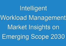 Intelligent Workload Management Market Insights on Emerging Scope 2030